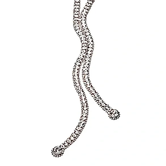 Crystal Lariat Y Necklace by Allen Schwartz